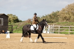 SBM_001694