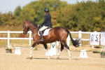 SBM_017884