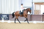SBM_005615