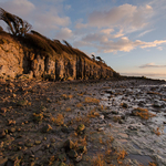 Silverdale Cliffs