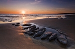 Arfordir De Cymru 59 - Traeth Mawr