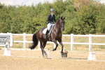 SBM_010501