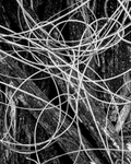 Wire
