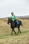 SPXX3448