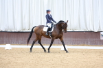 SBM_003383