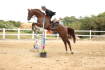SBM_003264