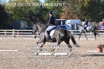 BPP_9459