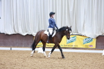 SBM_000163