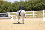 SBM_003662