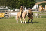 SBM_10192