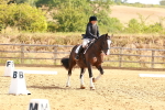 SBM_000499