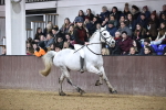 SBM_007024