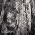 Bark 49