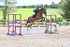 BPP_1638