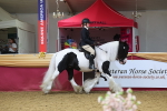 SBM_24334