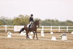 SBM_004706