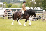 SBM_06184