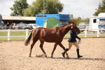 SBM_04583
