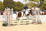 SBM_66919