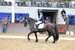 SBM_010175