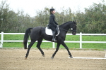 LAD_3570