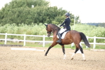 SBM_002719