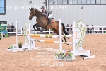 BPP_8826