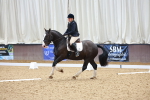 SBM_010979