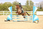 SBM_002980