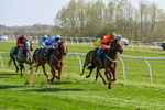 080426-Race 5-Free Pic-0571