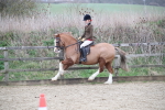 SBM_007240