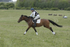BVHT 140517  NXC -4
