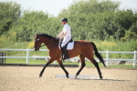SBM_010319