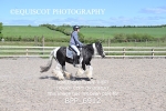 BPP_6912