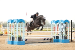 Class 20 - National 1.30-1.40m portfolio