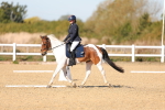 SBM_001420