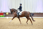 SBM_003969