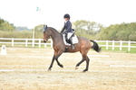 Novice 3 portfolio