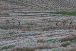 Leg 3 -15