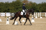 SBM_021967