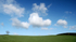 Tree and cloud