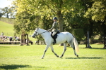 SBM_38953