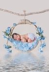 hoop blue
