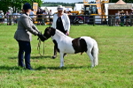 SBM_03444