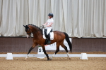 SBM_001831