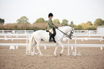 SBM_08740