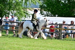 SBM_11736