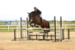 Class 2 - Senior Discovery - 1.00m Open portfolio