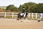 SBM_009325