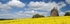 Hanaker Windmill